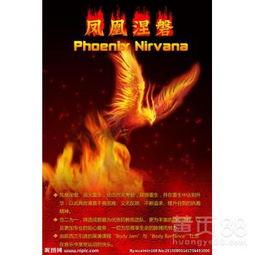 凤凰网新闻爆料电话,揭露社会现象，倾听民意呼声