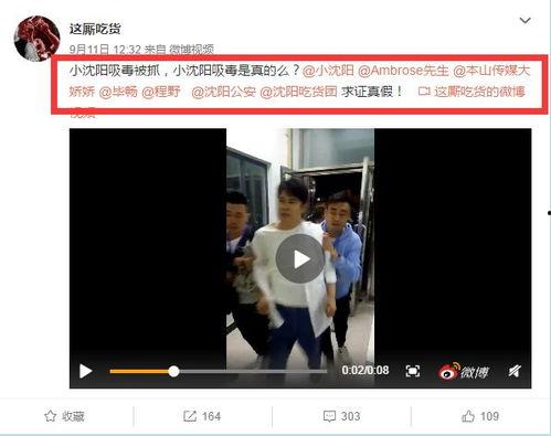 小沈阳老婆爆料视频大全,揭秘夫妻生活点滴